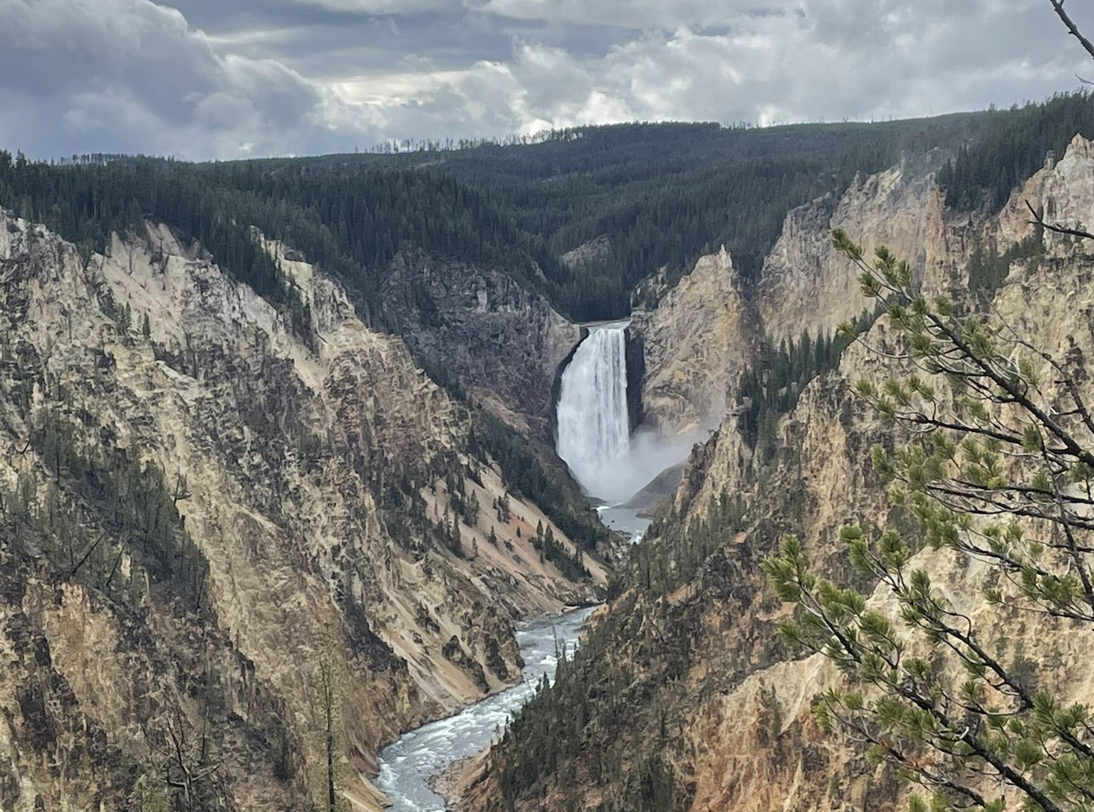 Lower Falls in the Grand Canyon of Yellowstone
