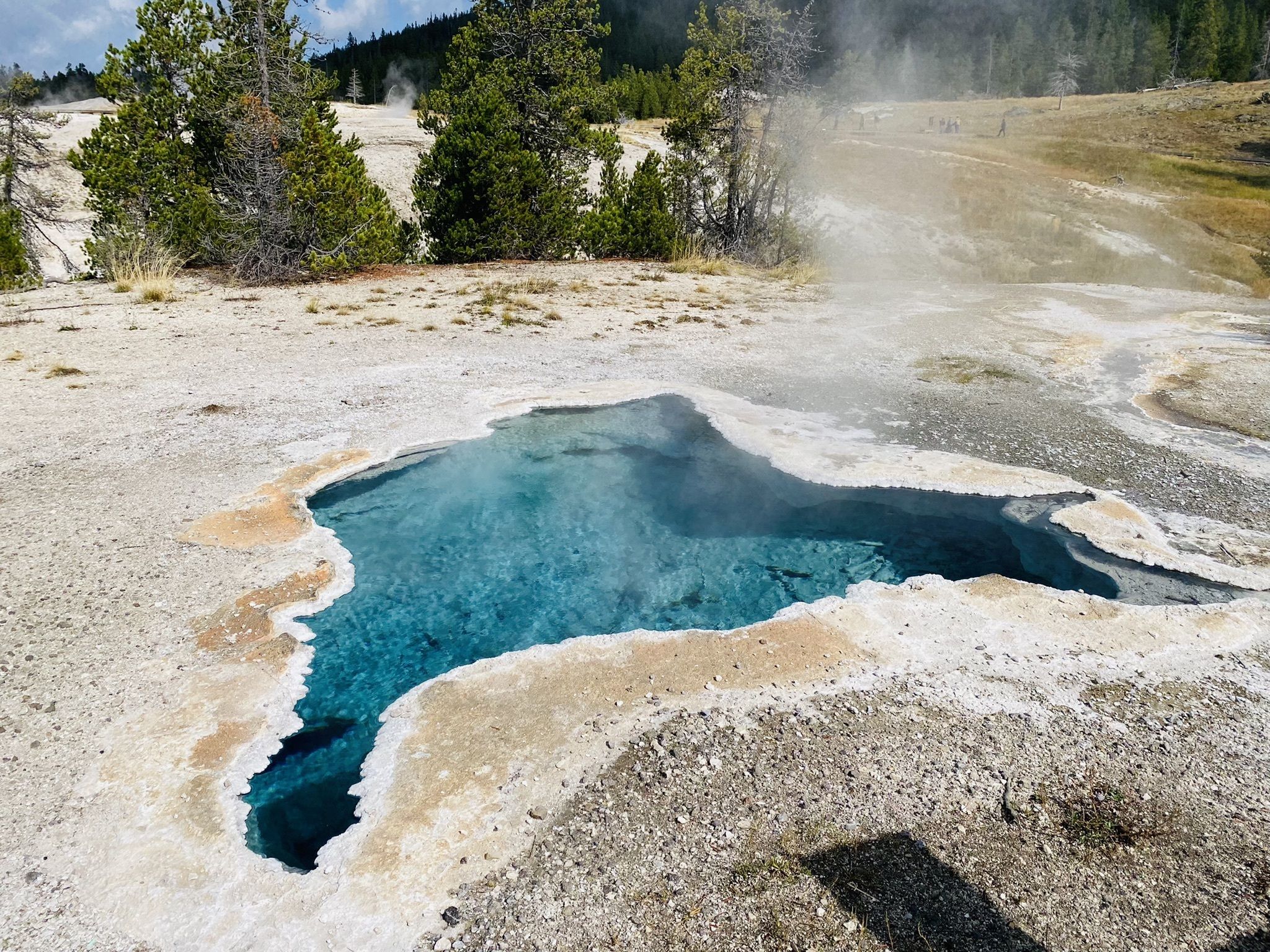 The famous Old Faithful Geyser in Yellowstone National Park