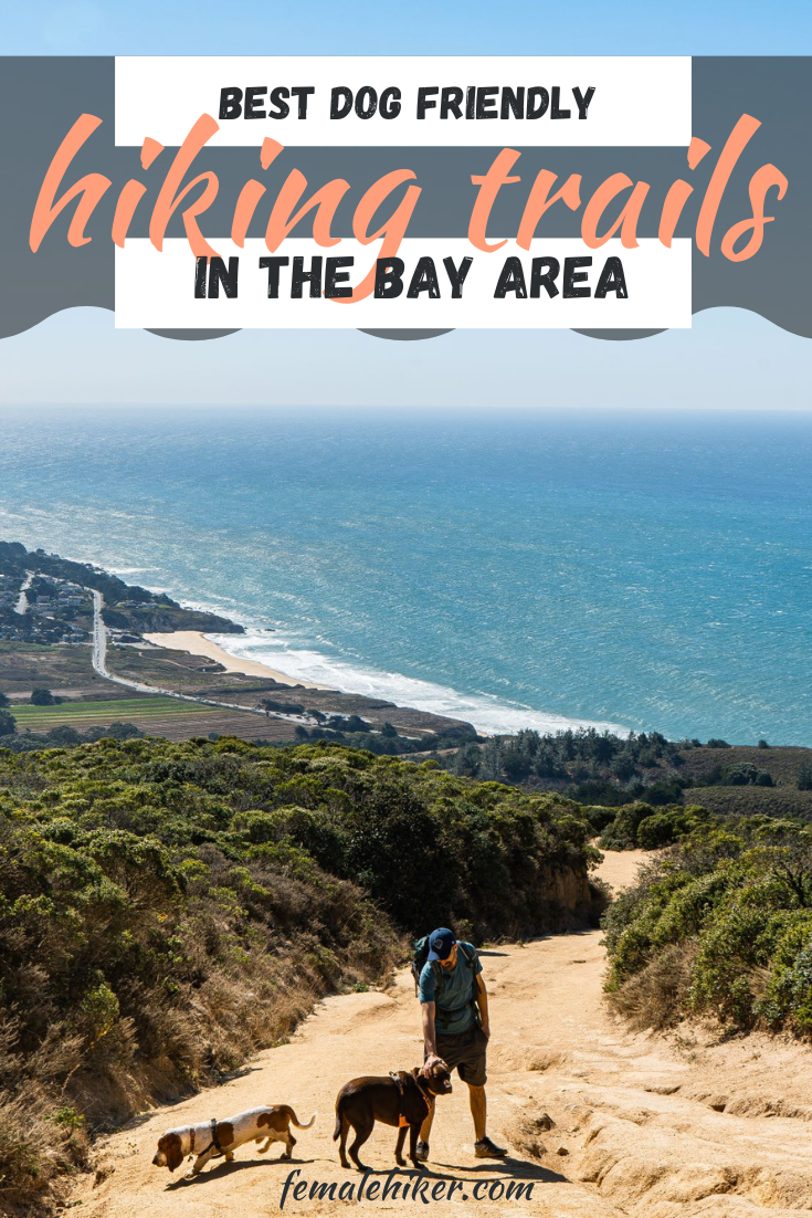 best dog friendly hikes in the Bay Area