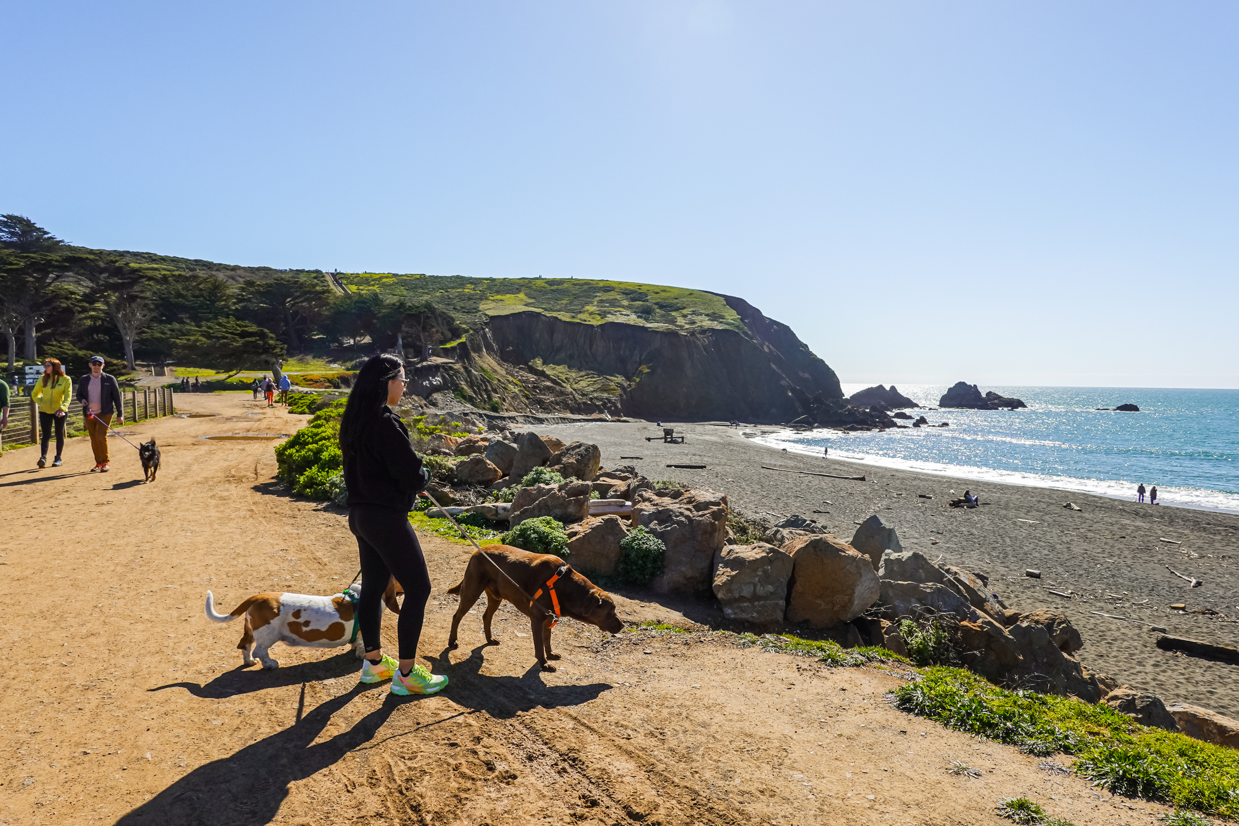 mori point dog friendly hiking trail bay area