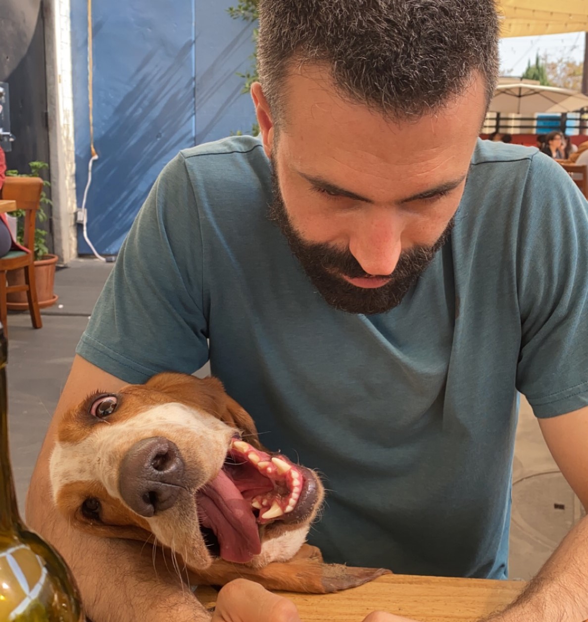 dog friendly restaurants bay area