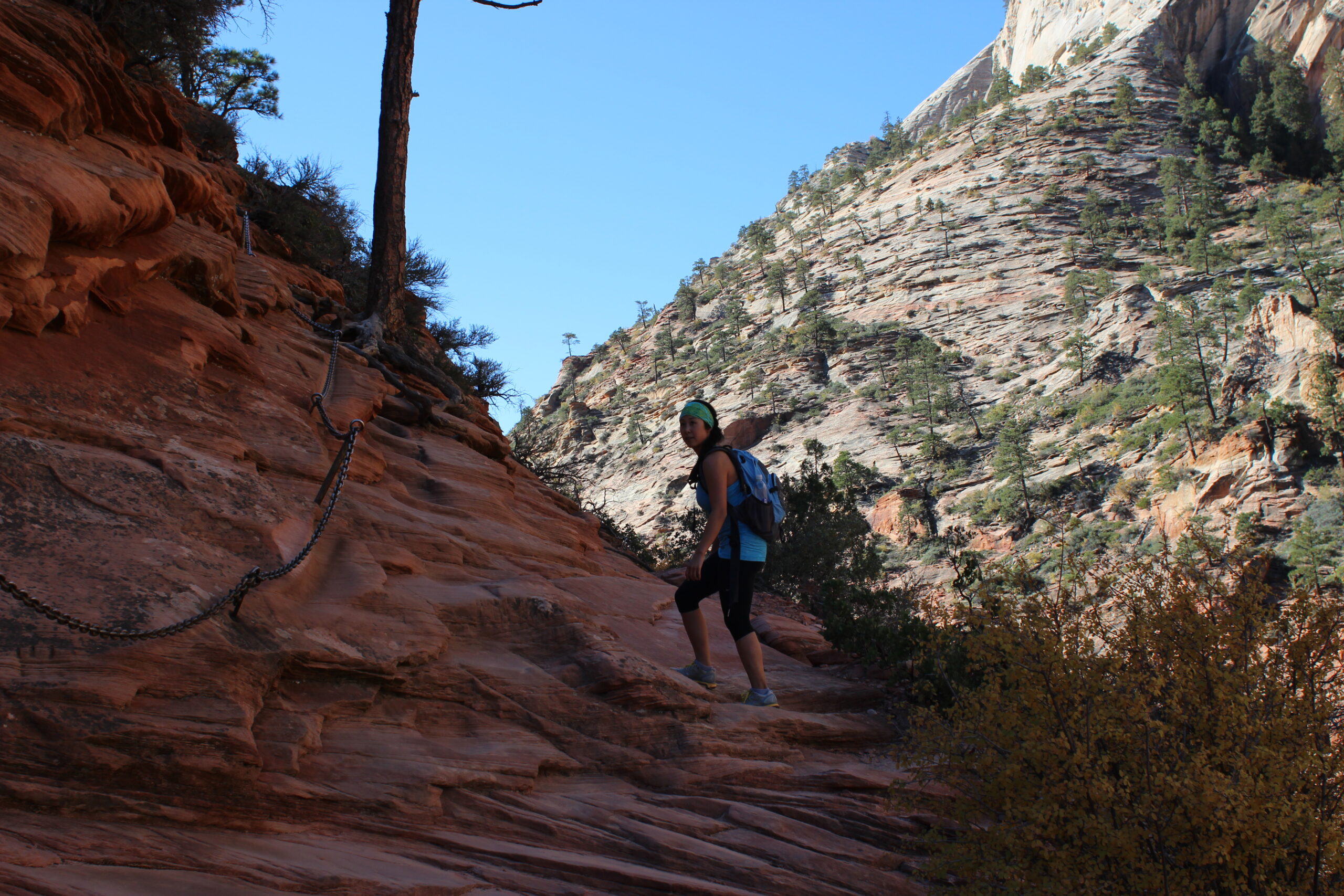 Closest Airports To Zion National Park: 4 Best Options 3